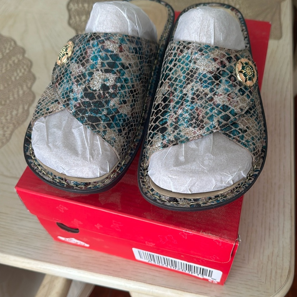 Women’s Alegria Shoe